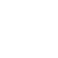 Skoda Logo weiß