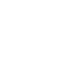 Logo von Dacia