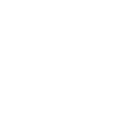 Partner Logo Fiat