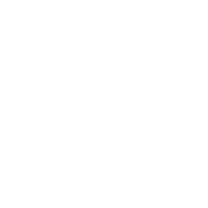 Logo von Nissan
