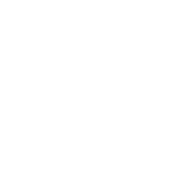 VW Logo Service
